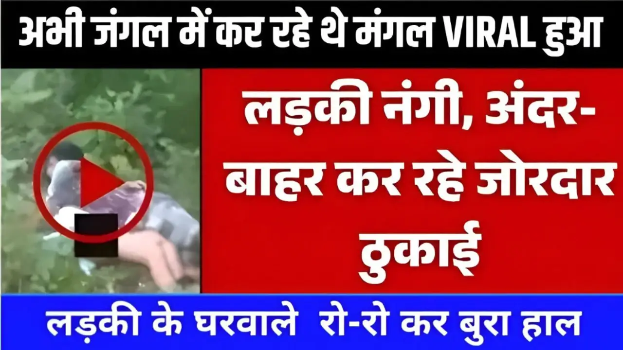 VI 259 Premium Recharge for Entertainment